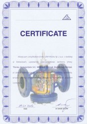 Certificate - LDM Partner